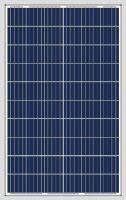 275 Watt Solar Panel